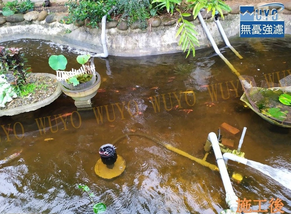 魚池過濾-桃園王小姐